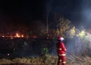 Tim Damkar PT Timah Turun Padamkan Kebakaran Hutan di Desa Rebo