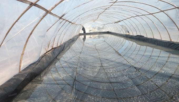 Produksi Garam KUPS Mudong Meningkat Hingga Dua Kali Lipat