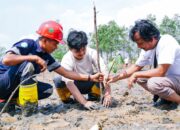 5000 Mangrove Rhizopora Ditanami di Pantai Tanjung Pak Dan