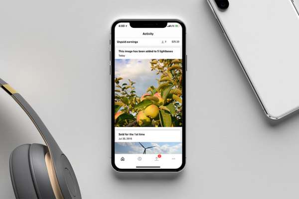 Website Menjual Foto