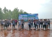 Mulai Jarang Ditemukan, PT Timah Restocking Kepiting