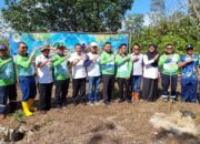 Lahan Eks Tambang Air Jelutung Ditanami Seratus Pohon