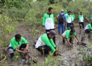 Cegah Abrasi di Pesisir Pantai Kundur, PT Timah Tanam 12 Ribu Mangrove