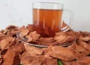 Review 8 Manfaat Akar Bajakah untuk Kesehatan Tubuh