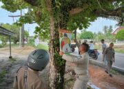 Temukan APK di Tiang Listrik dan Pohon, Hairul Ingatkan Aturan
