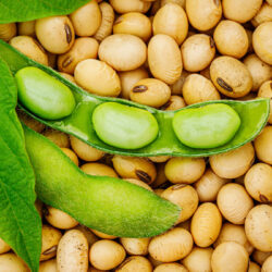 Ketahui 9 Manfaat Kacang Kedelai, Camilan Sehat Kaya Akan Protein dan Nutrisi