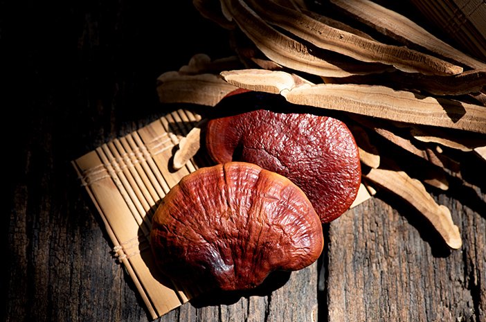Manfaat Jamur Ganoderma