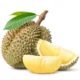 buah durian