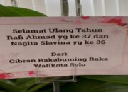 Raffi Ahmad Dapat Ucapan Selamat dari Gibran, Warganet Singgung Posisi Menteri