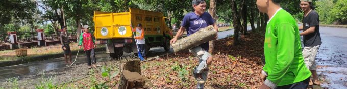Sering Hujan, DLH Bangka Selatan Bersihkan Pohon Mati di Pinggir Jalan