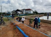 Kolong PDAM Pedindang Ditanami Pohon