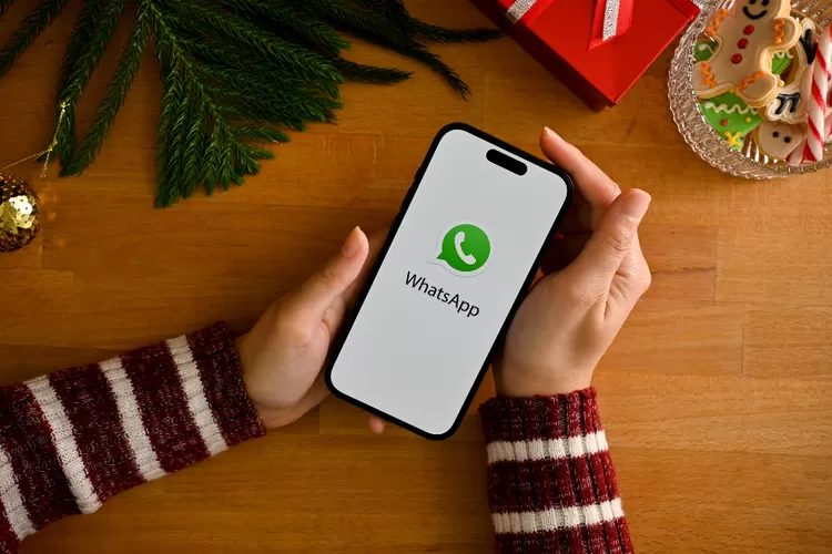 Status Online WhatsApp