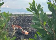 Aktor Perusak Kawasan Hutan Produksi Parit 40, akan Dilaporkan