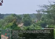 Alat Berat Berwarna Hijau hingga Biru Jarah Hutan di Dusun Nadi, Perlang