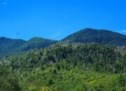 Pesona Gunung Maras, Bangka Belitung: Keindahan dan Legenda Suara Seruling yang Memikat