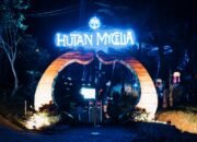 Viral! Hutan Mycelia, Sensasi Wisata Malam di Tengah Hutan Pinus Penuh Cahaya Cikole Lembang