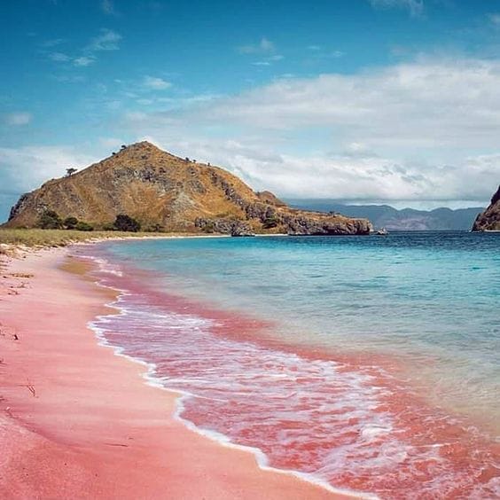 Pantai Pink Pulau Komodo