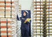 NIUJP PT Timah Naik, Angin Segar Penambang Rakyat