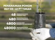 Rayakan HUT ke-48, PT Timah Tanam 48 Ribu Pohon