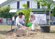 HUT PT Timah, 892 Anak Dikhitan hingga Tanam 48 Ribu Mangrove