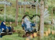 Liburan Seru di Tenggir Park Karanganyar, Pesona Alam dan Ragam Aktivitas Seru yang Menyenangkan