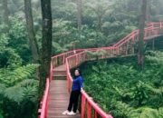 Pesona Keindahan Bukit Cianten Wisata Alam di Bogor