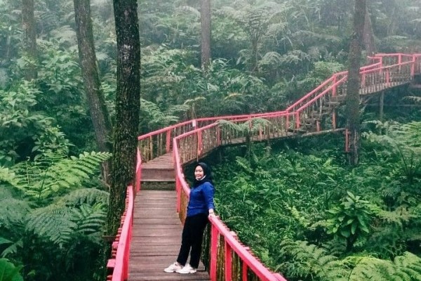 Pesona Keindahan Bukit Cianten Wisata Alam di Bogor