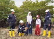 Hingga Juli 24, PT Timah Sudah Tanam 32 Ribu Mangrove