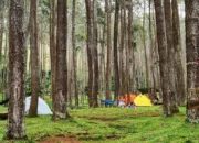 Wisata Batu Kuda Bandung, Nikmati Pesona Alam yang Segar Cocok untuk Camping dan Trail Running