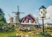 Wisata Cimory Dairyland on The Valley Semarang, Wisata Keluarga dan Instagrammable