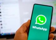 Mengenal 2 Fitur Mention di Status WhatsApp Segera Hadir, Mirip Instagram Stories