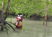 Ajak Ahli Kelautan dan Universitas, PT Timah Pantau Biota Laut