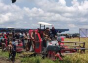 Pemkab Basel: Kami Harap Bisa Penen Tiga Kali Setahun
