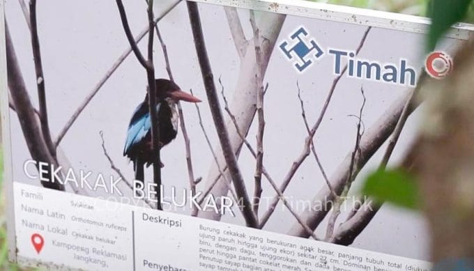 Alobi dan PT Timah Rehabilitasi Ratusan Satwa