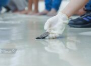 Puluhan Tukik Penyu Sisik Dilepasliarkan di Pantai Tanjung Kelayang