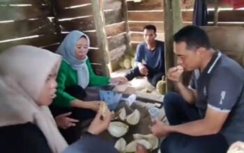 Anggota Dewan ini Kepincut Durian Bujang