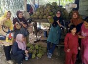Hasan dapat Berkah Akhir Tahun Lewat Kebun Duriannya