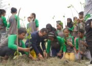 Ajak Pelajar, PT Timah Tanam 3000 Bibit Mangrove di Pantai Takari