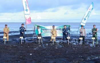 Pantai Sesai Party Beach Ditanami 3 Ribu Mangrove Api-api