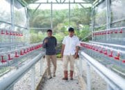 Kelompok Tani Sumber Rezeki Dapat Bantuan Modal Dari PT Timah