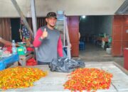 Harga Cabai Kecil di Toboali Stabil