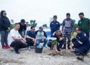 Bulan K3 Nasional, 500 Pohon Buah Ditanam PT Timah