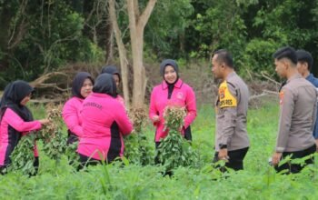 Polres Bangka Tengah Panen 800 Kg Kacang Tanah