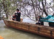 1100 Ekor Bibit Kepiting Bakau Dilepaskan di Perairan Kundur