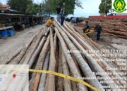 Kabarnya Kayu Bagan Ditahan Polhut Milik Bos NMSK dan AP, Dua Organisasi akan Monitor Proses Hukumnya !