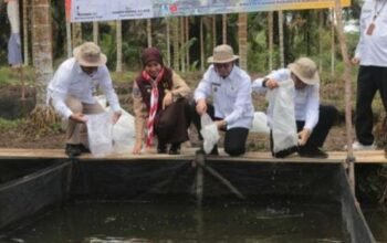 Bupati Bangka Tengah dan Wakilnya Tebar 7 Ribu Benih Ikan untuk Pokdakan Besatu