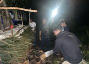 Komplotan Pencuri Sawit Ditangkap Polres Bangka Selatan