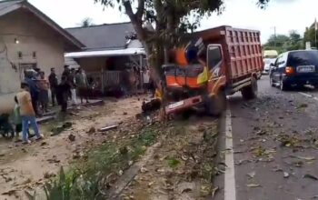 Truk Merah Ringsek di Bawah Pohon Mangga