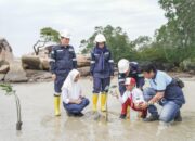 Sejak 2015, 3.222 Hektar Lahan Eks Tambang Direklamasi PT Timah