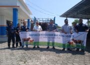 PT Timah Salurkan Hewan Kurban Melalui Instansi dan Organisasi